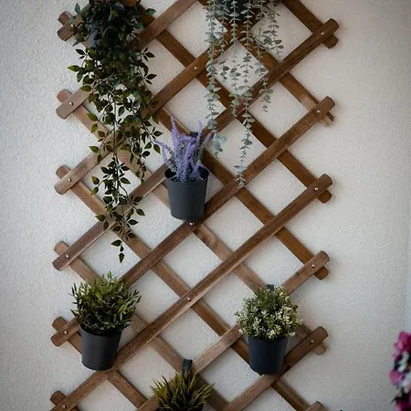 Oaza * أراندجيلوفاك