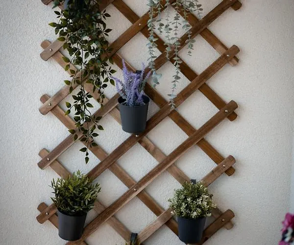 Oaza * Аранделовац